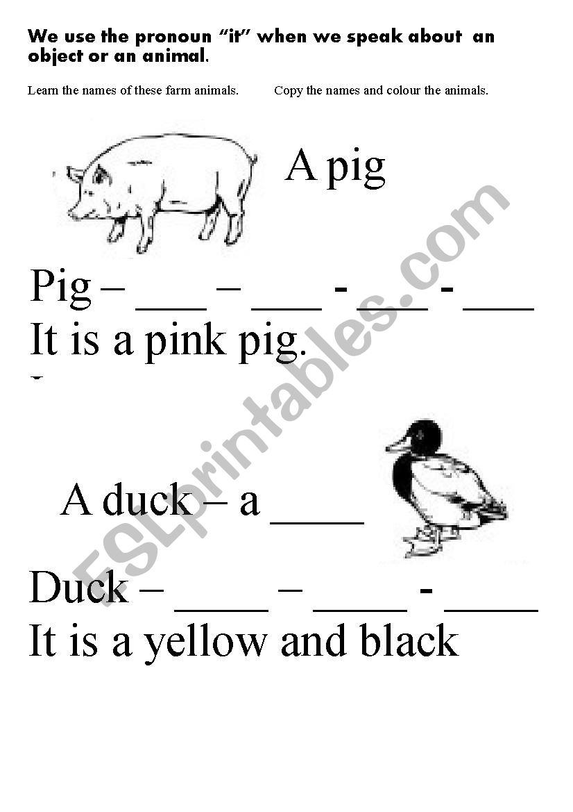 farm animals worksheet