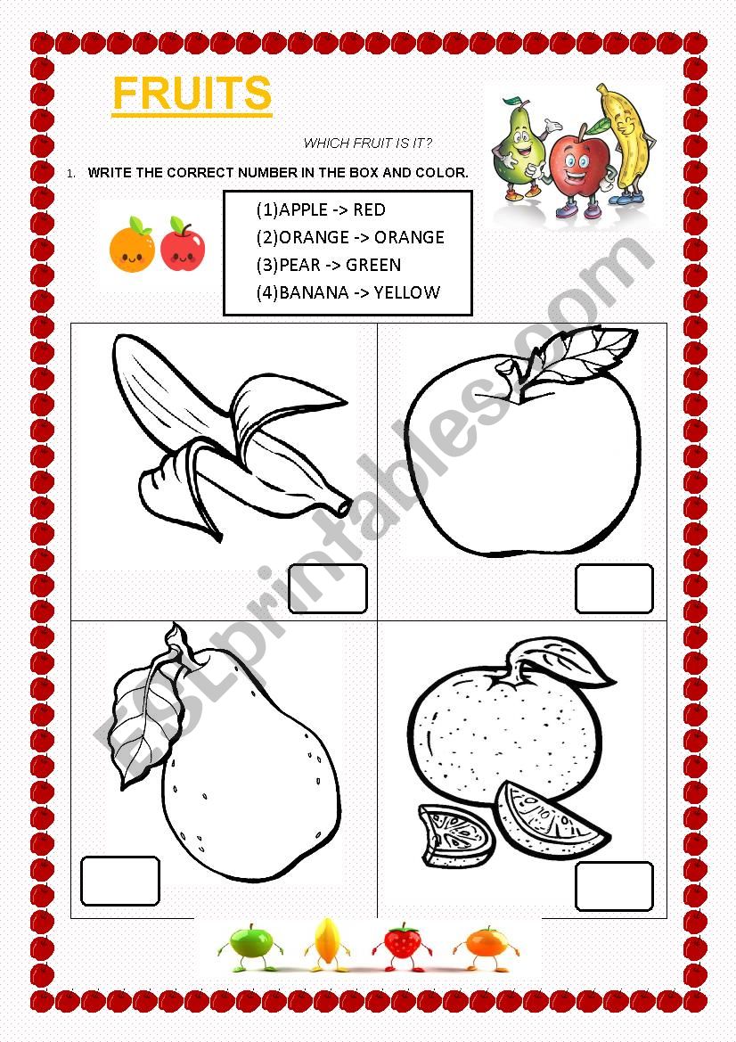 FRUITS worksheet