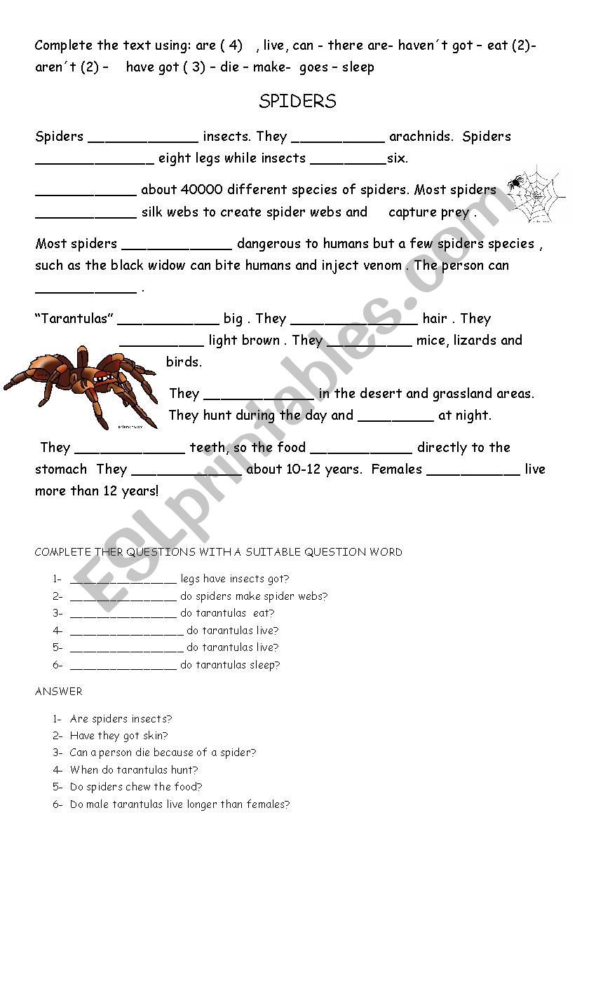 SPIDERS worksheet