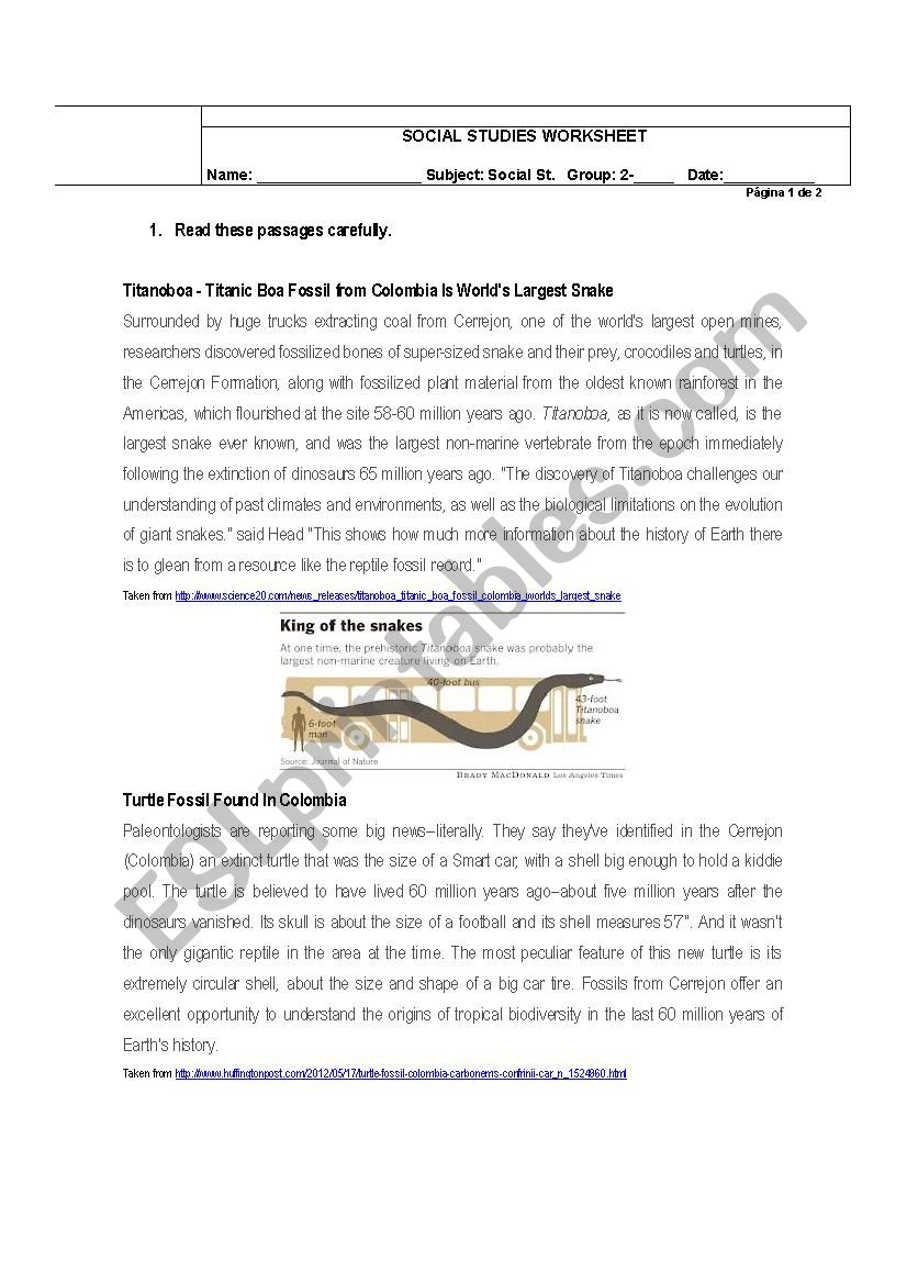 Fossils worksheet