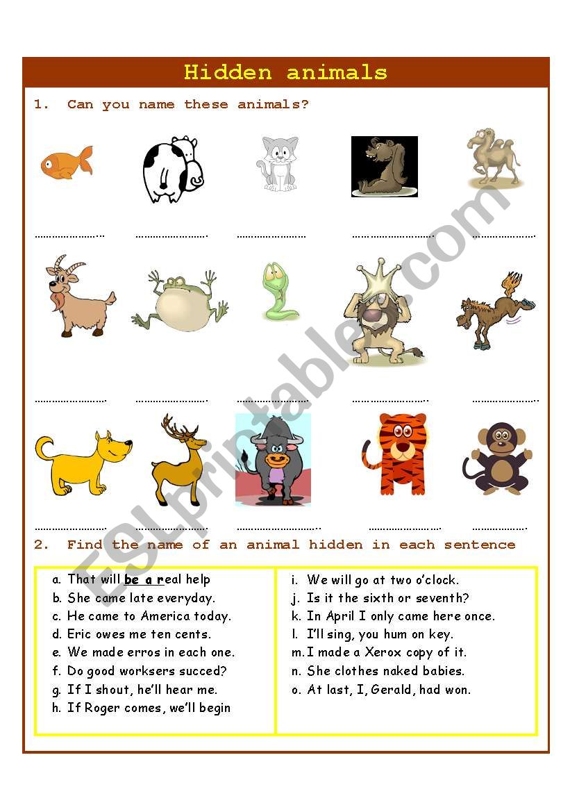 Hidden animals worksheet