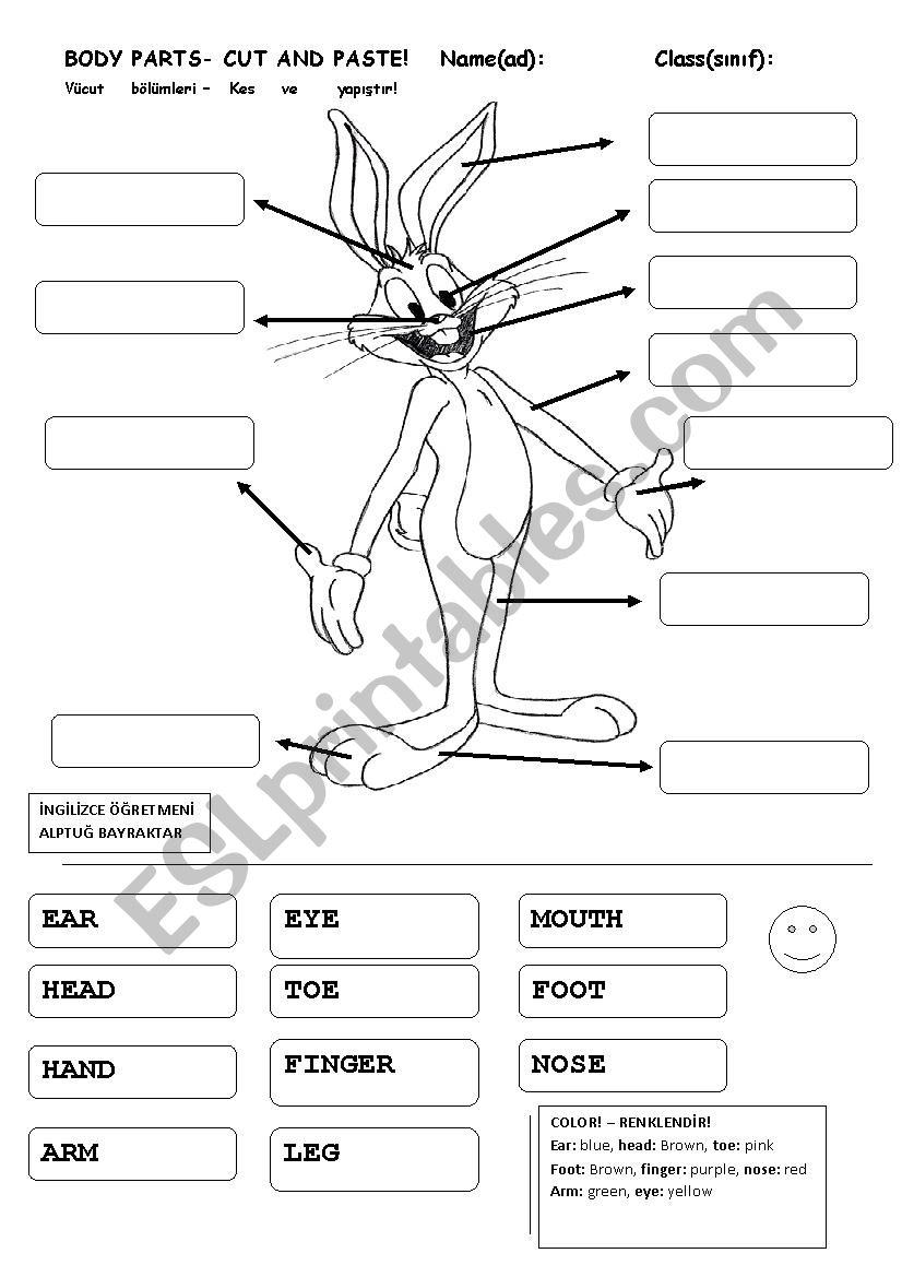 body parts with coloring theme 2 esl worksheet by alptug bayraktar