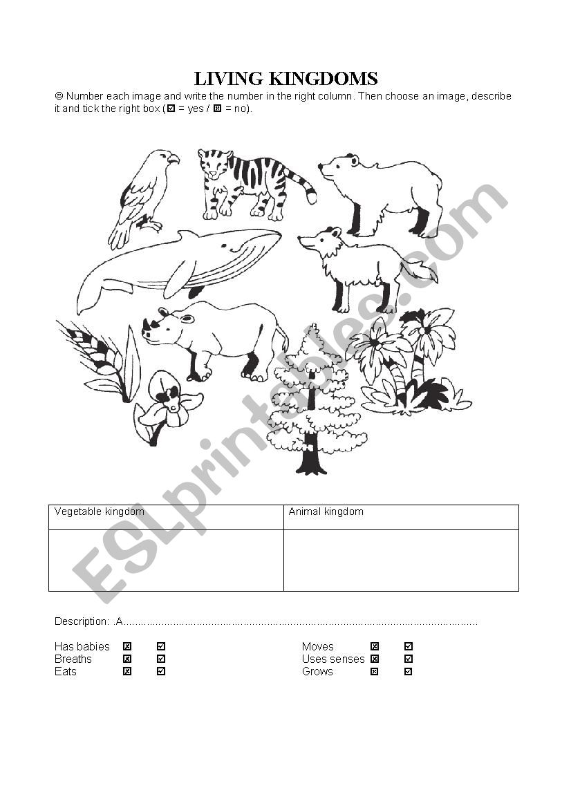 living kingdom worksheet