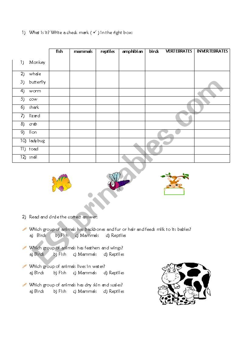 animals groups: mammals/reptiles/amphibians/birds/vertebrates/fish/invertebrates ...