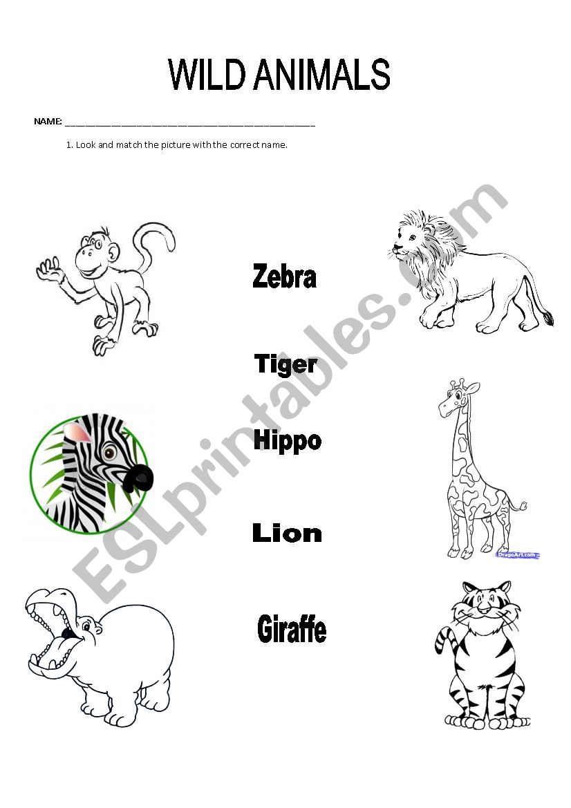 Wild animals worksheet