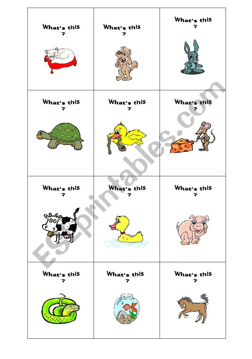 cards worksheet