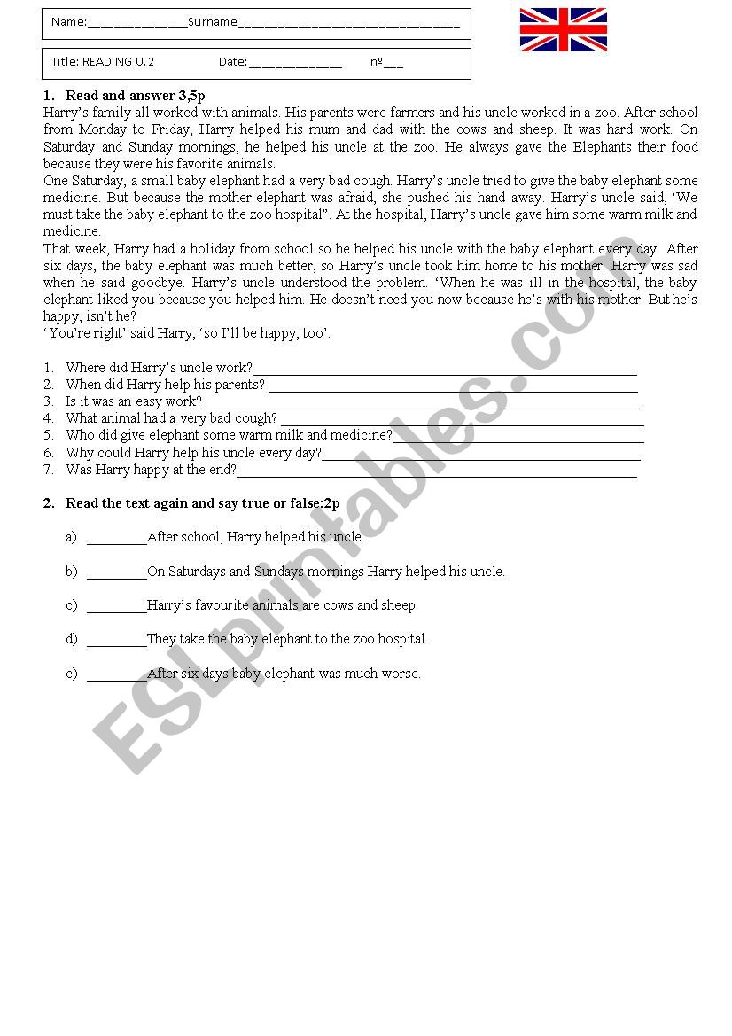 Reading Exam. Level Flyers worksheet