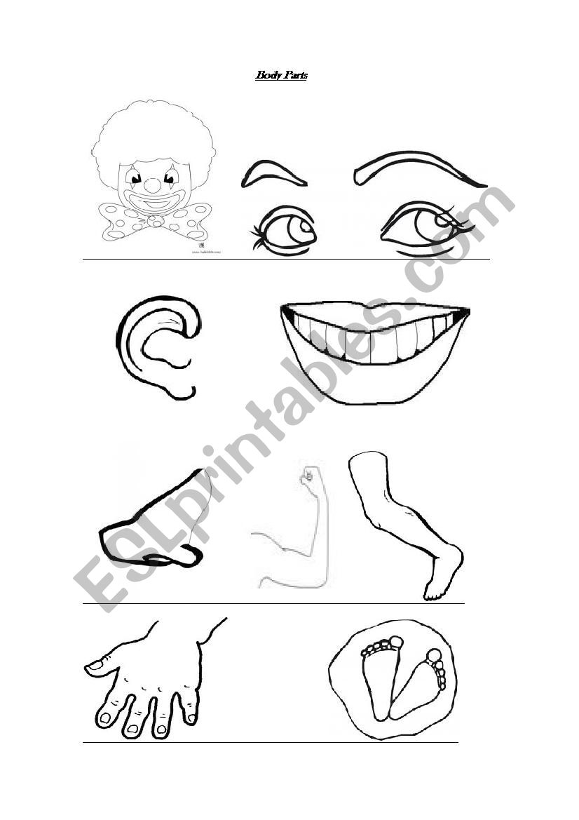 Body parts paint worksheet