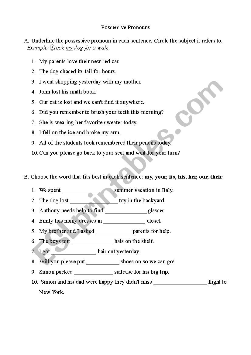 Possessive Pronouns worksheet