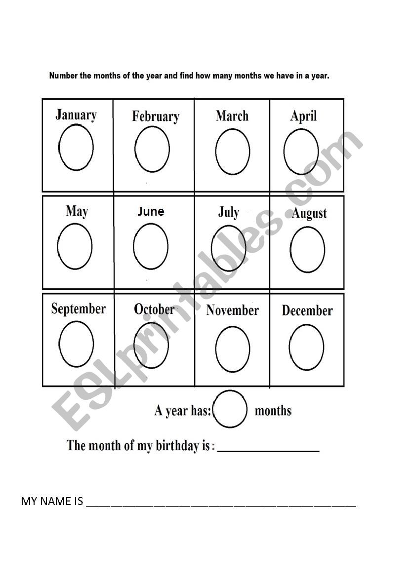 Monthsof the year worksheet