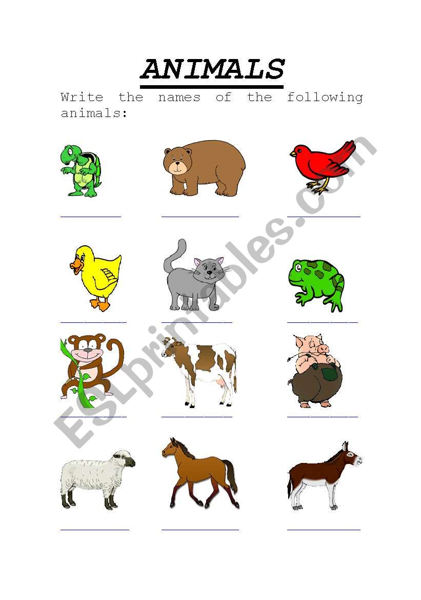 Animals worksheet