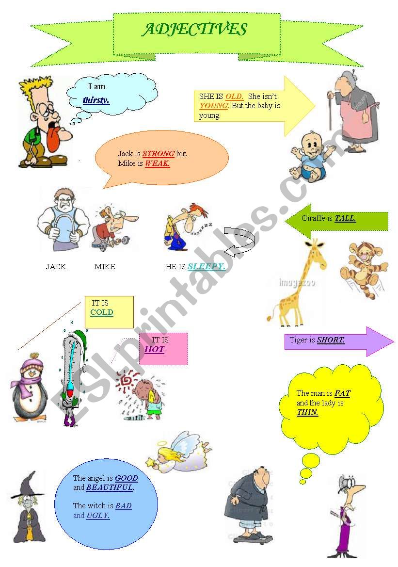 presentation of adjectives worksheet