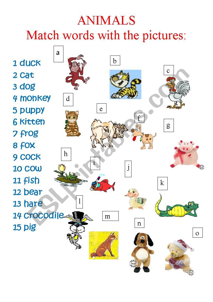 Animals worksheet