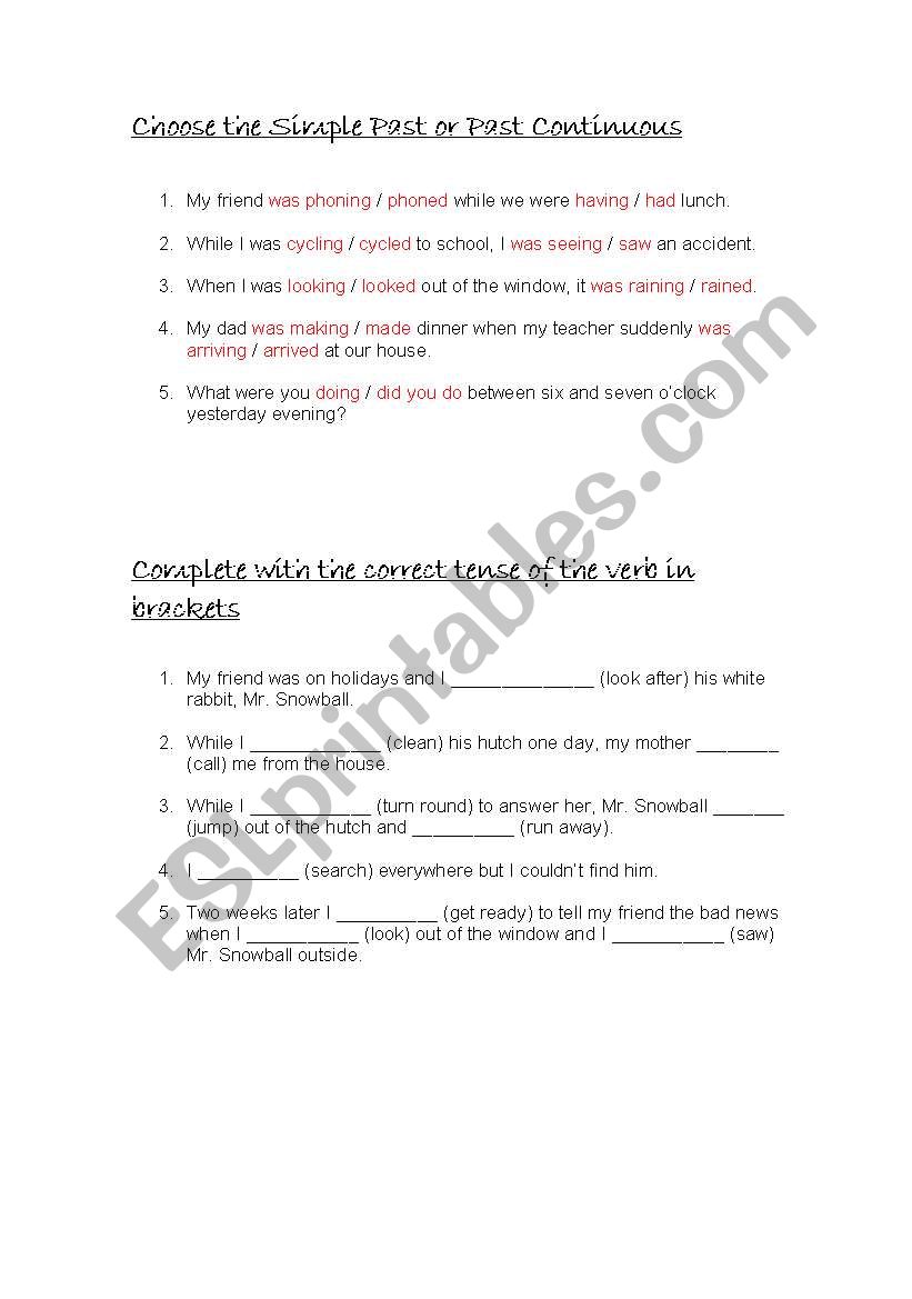 Past simple/Past continuous worksheet