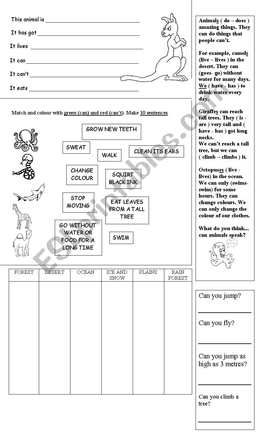 Revision worksheet worksheet