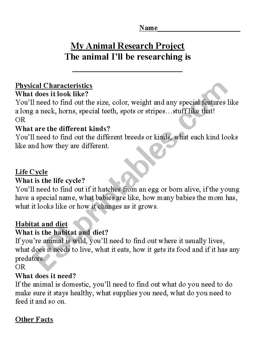 Animal Research Project worksheet