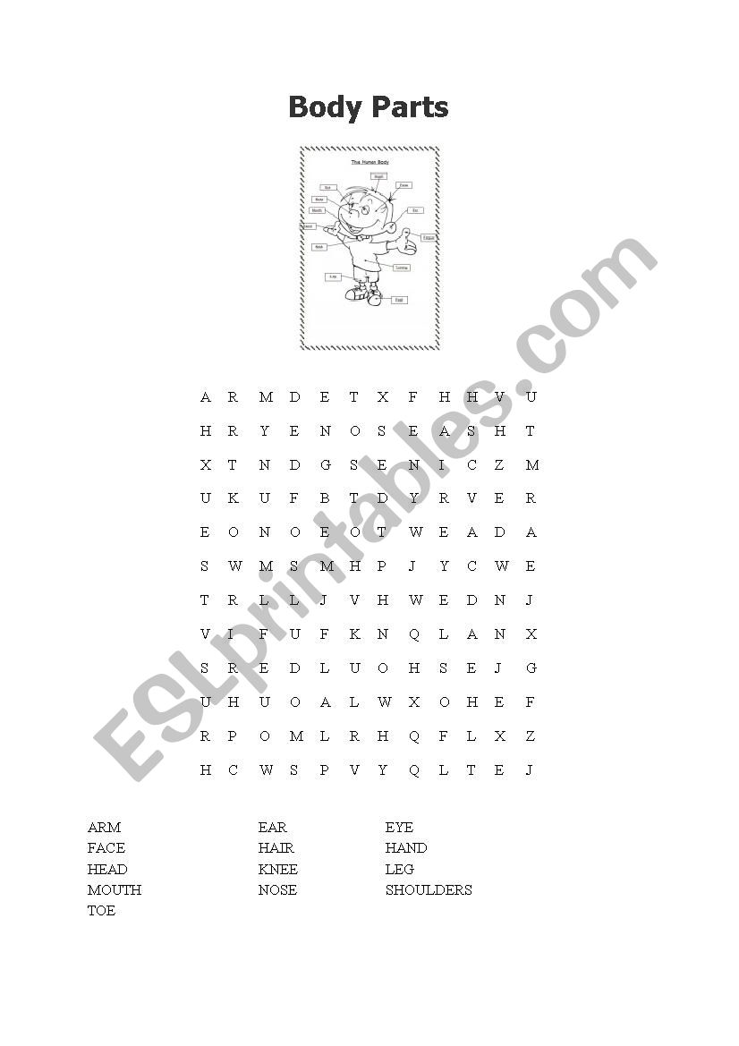 Body Parts Wordsearch worksheet