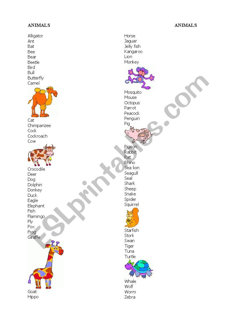 Animals worksheet