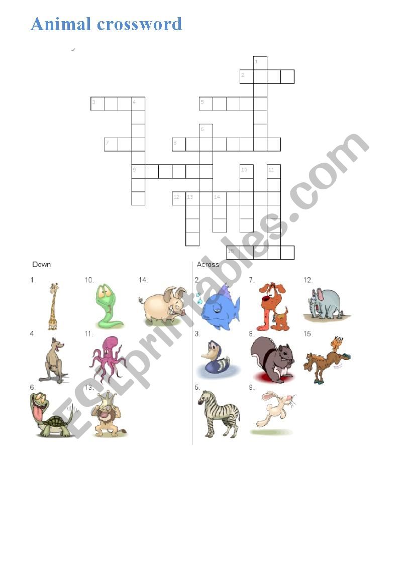 ANIMALS worksheet