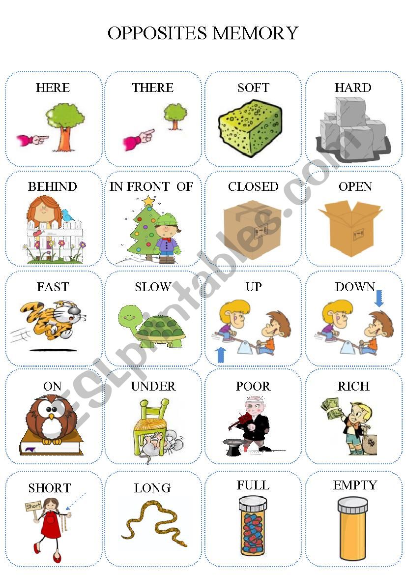 Opposites worksheet