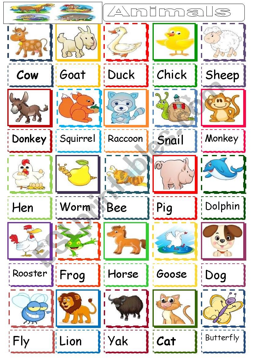 animals pictionary worksheet