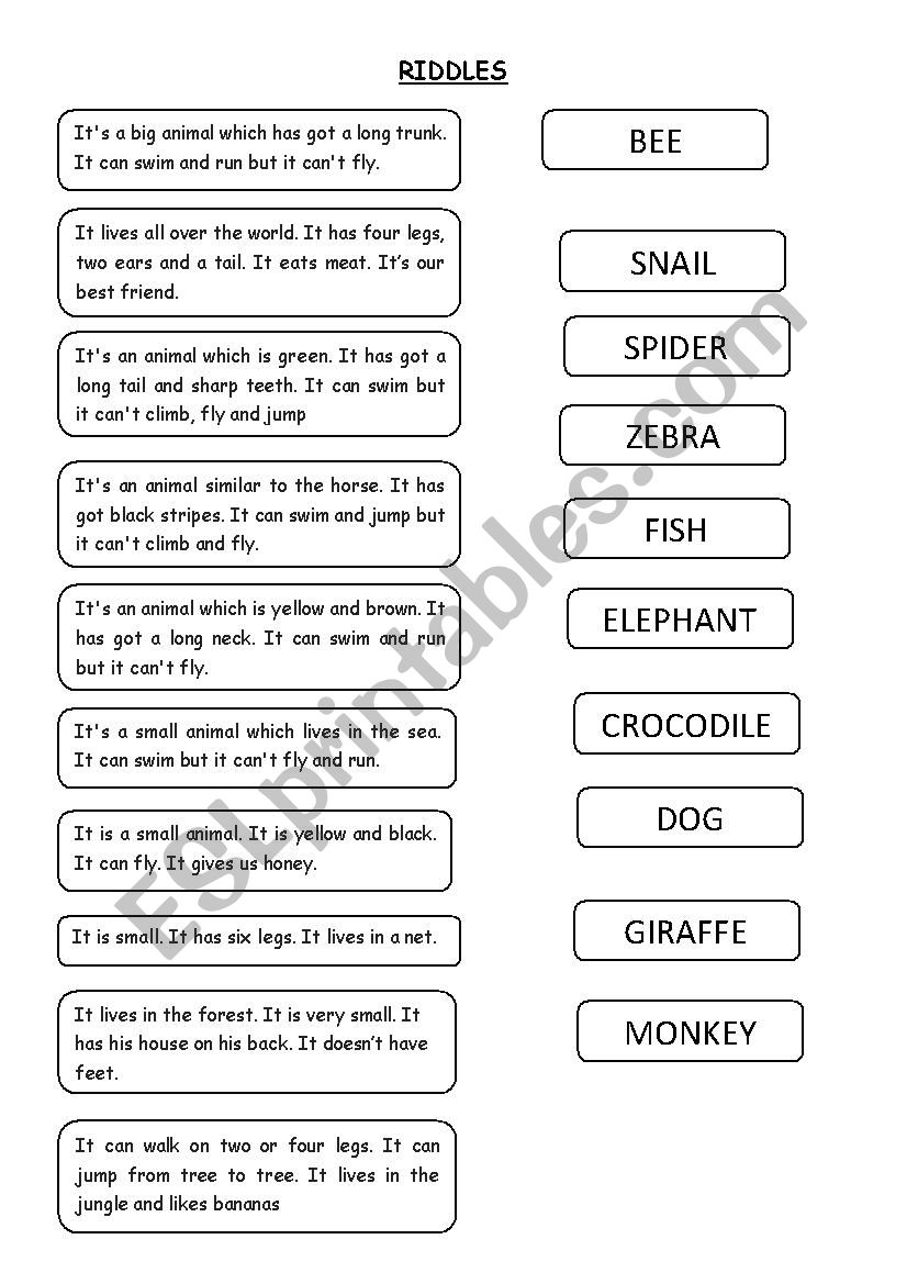 Animal riddles worksheet