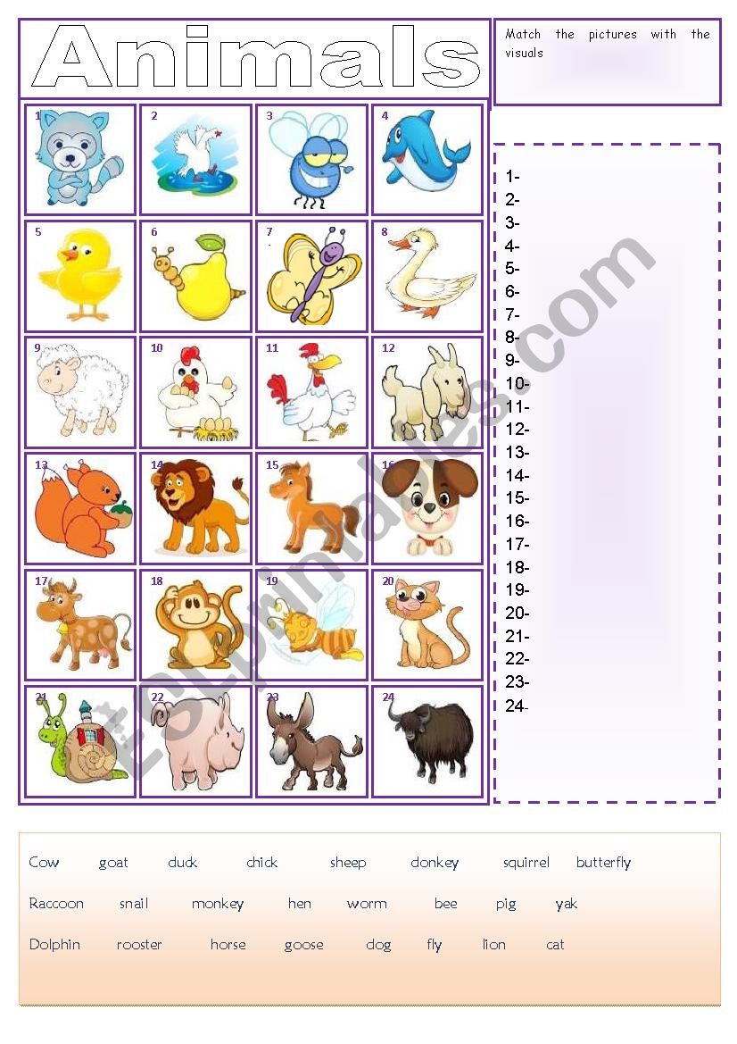 animals matching worksheet