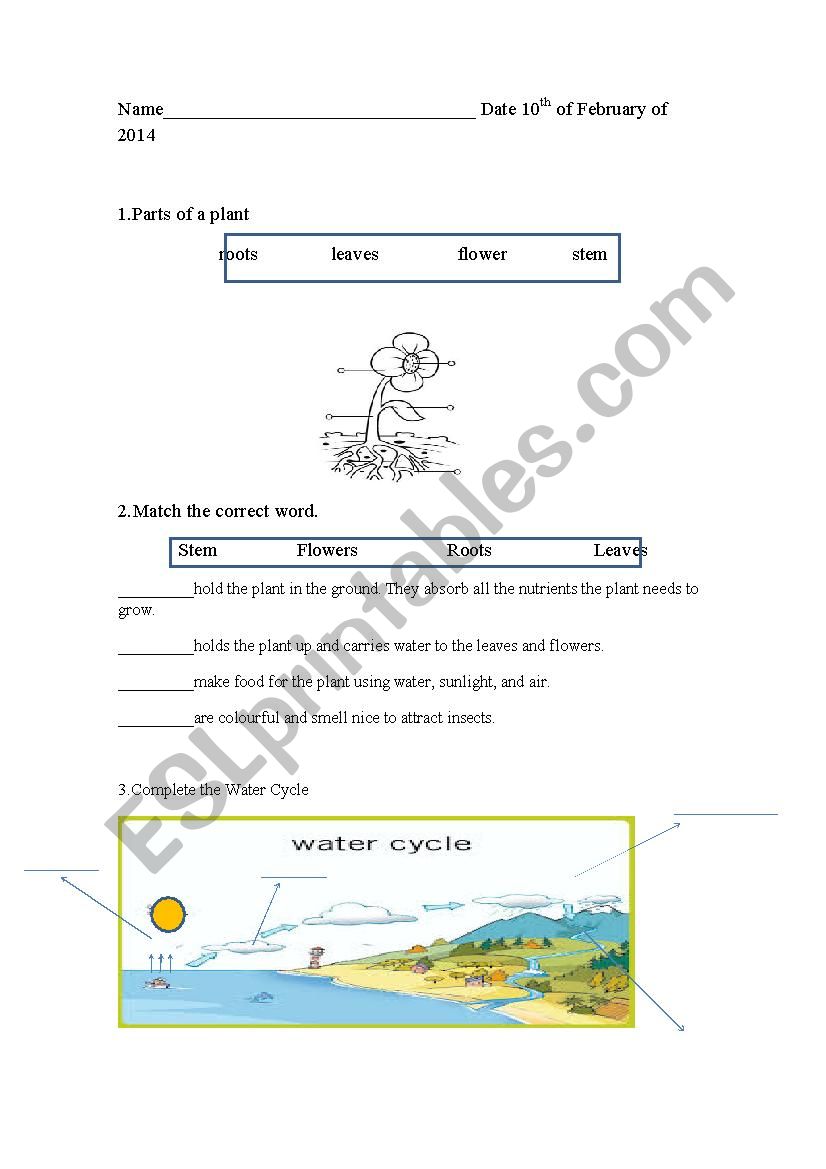 plants and nature worksheet