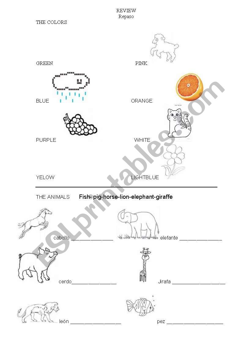 REVIEW worksheet