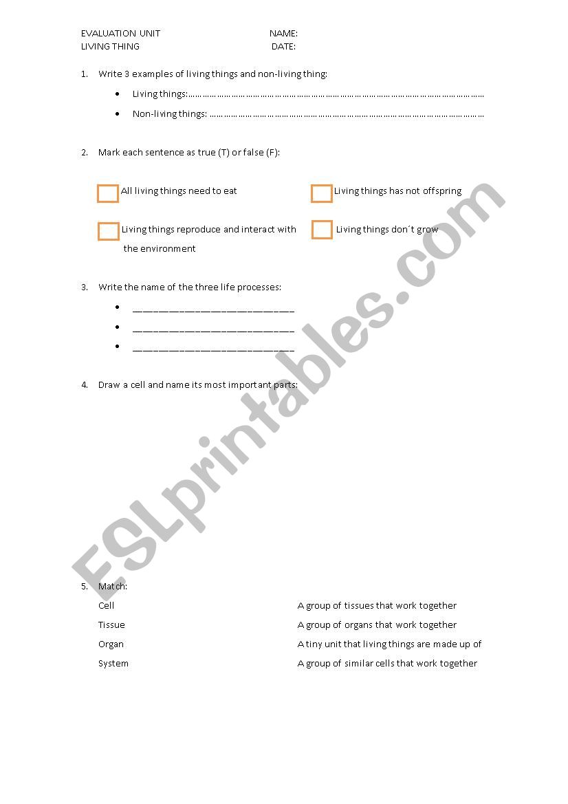 Living Things Five Grade worksheet