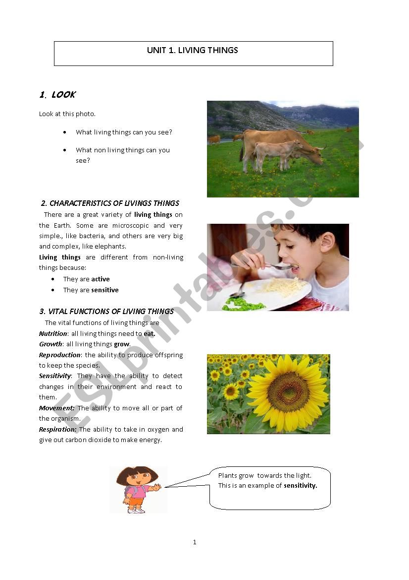 Living Things worksheet