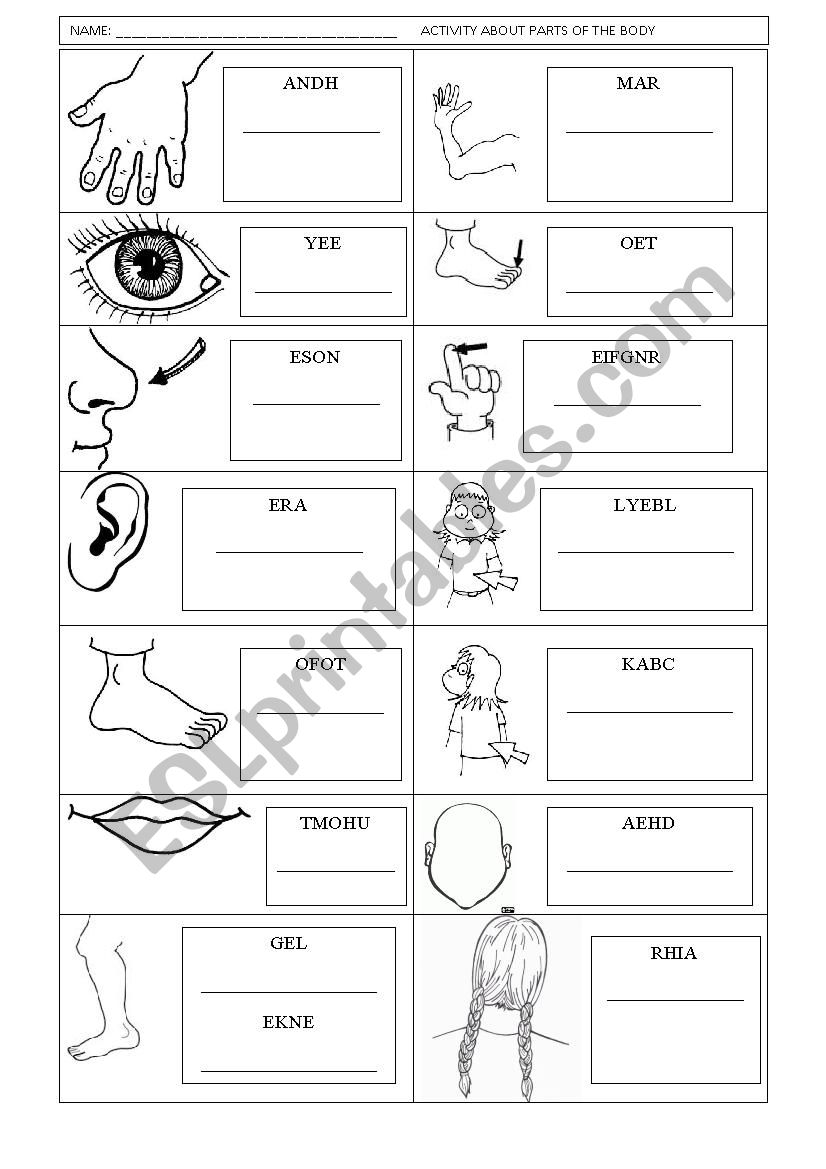 PARTS OF THE BODY FOR KIDS worksheet
