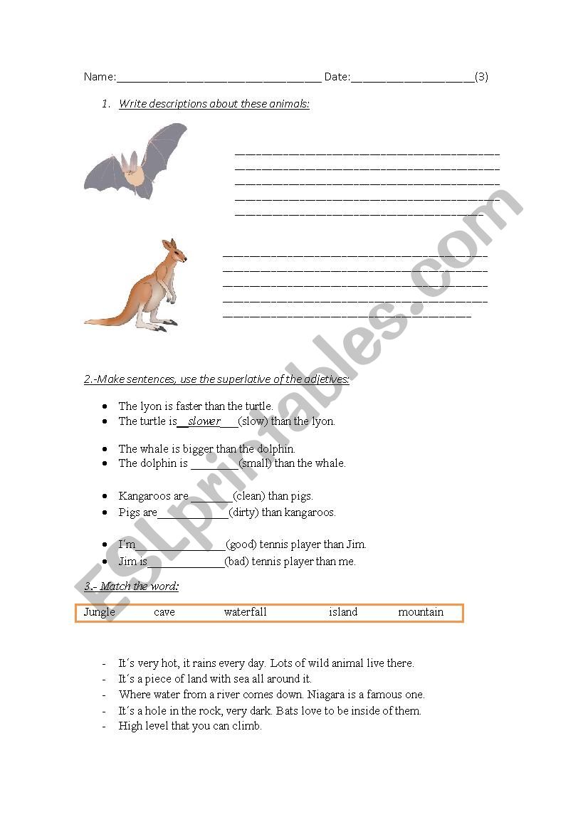 DESCRIBING ANIMALS worksheet