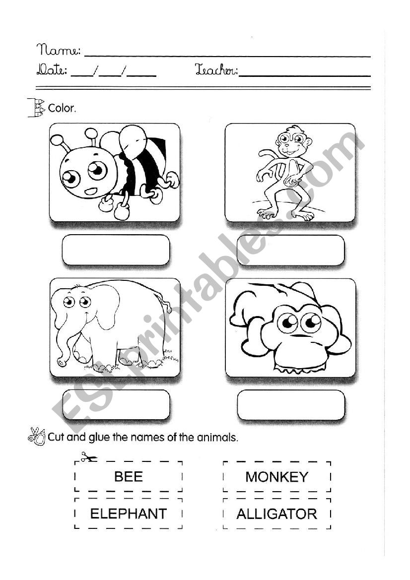 Animals worksheet