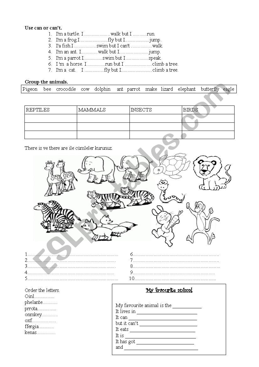 animals  worksheet