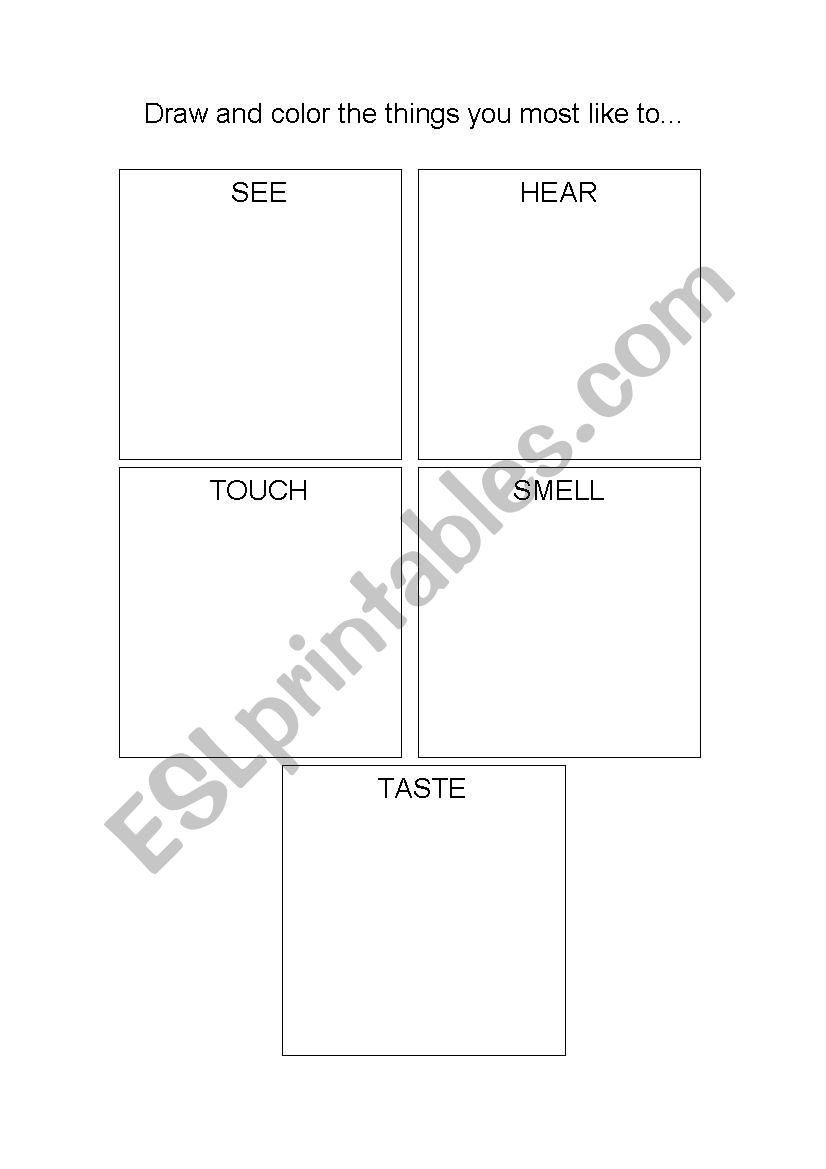 THE FIVE SENSES worksheet