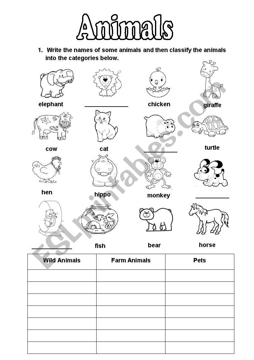 Animals worksheet