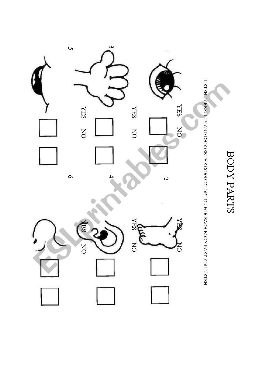 Body Parts worksheet