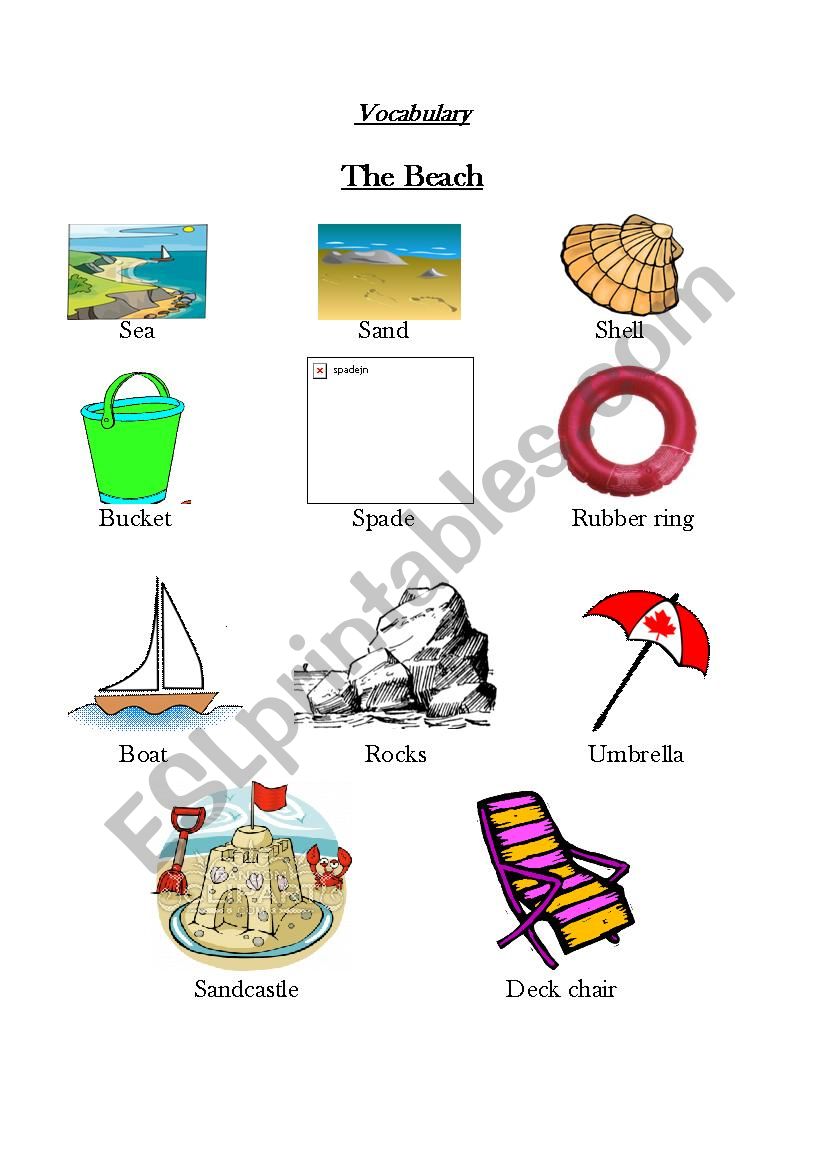 the beach worksheet