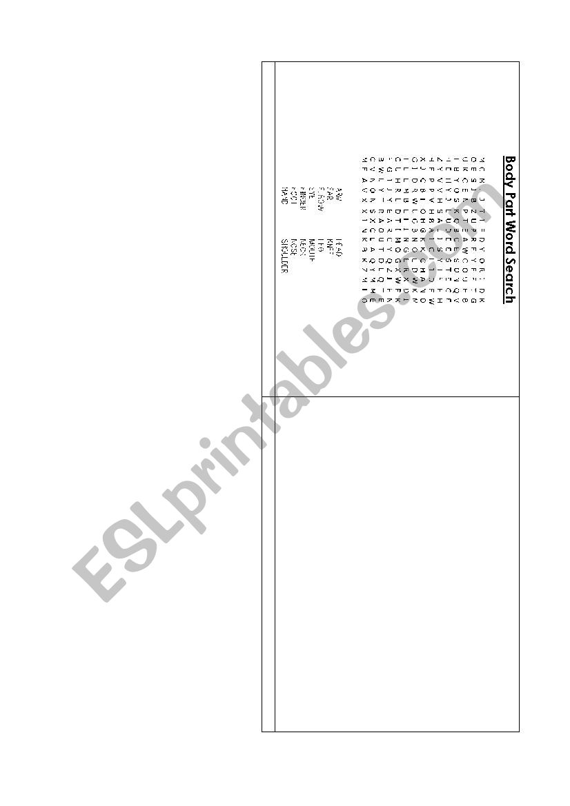 the body worksheet