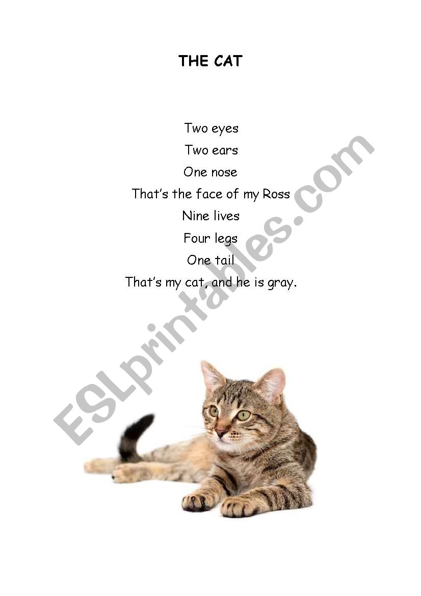 The cat and other poems worksheet
