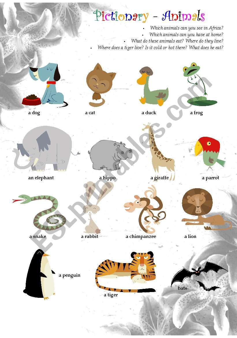 Pictionary - Animals worksheet