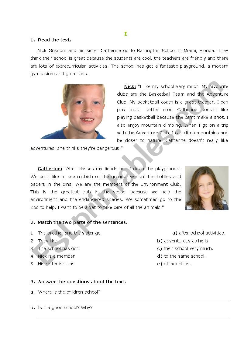 Revision worksheet worksheet