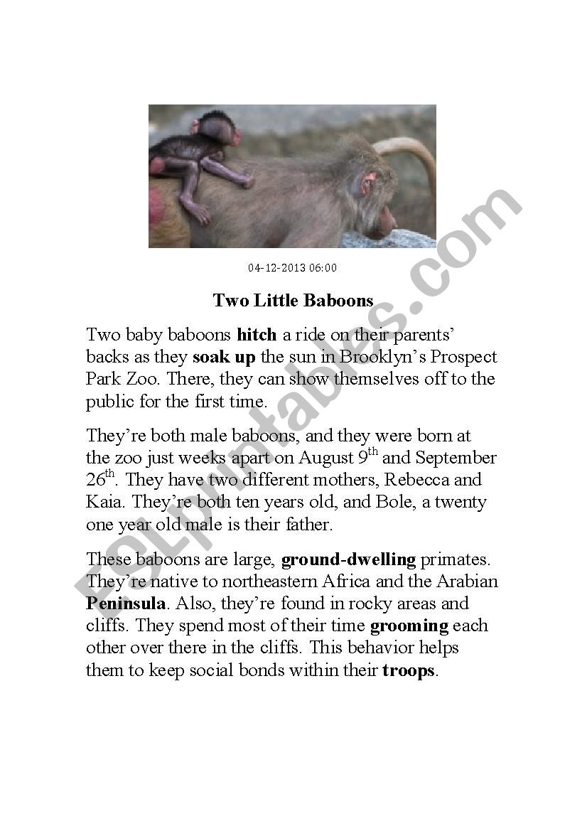 Baboons Science Article - Contractions