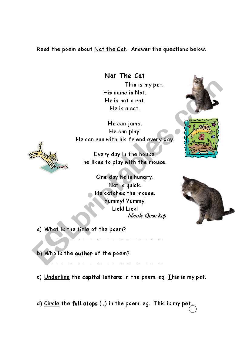 Nat the Cat worksheet