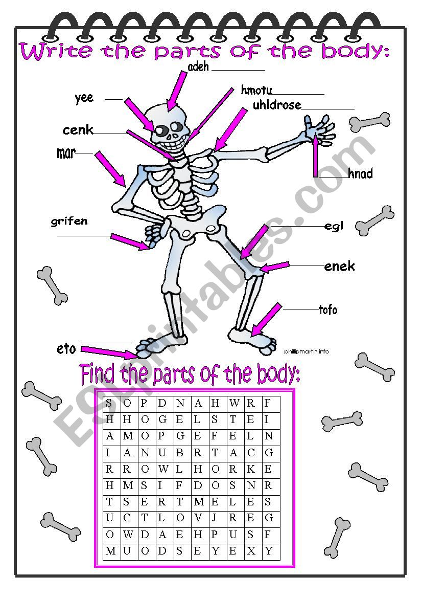 Parts of the Body worksheet