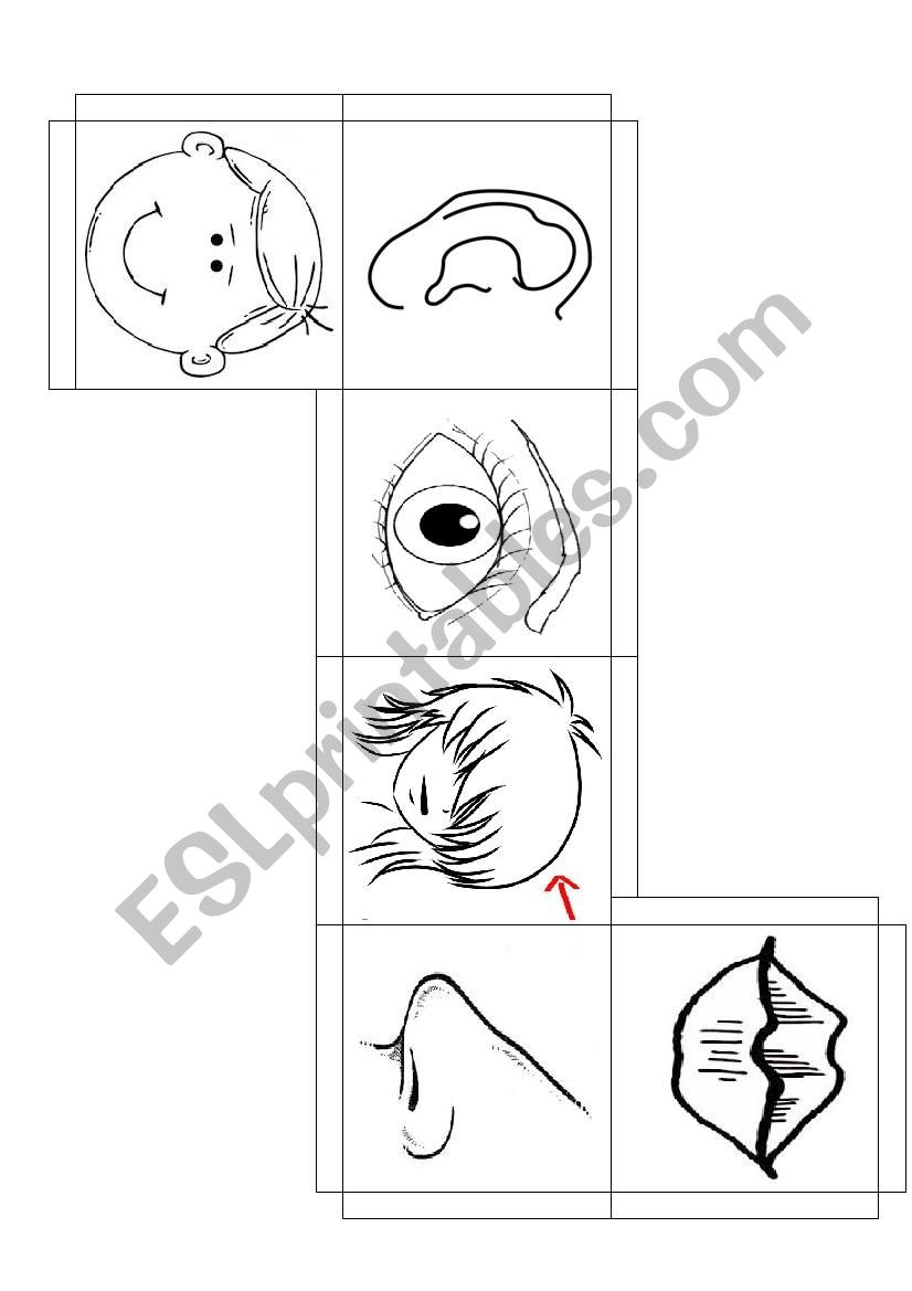 face dice worksheet