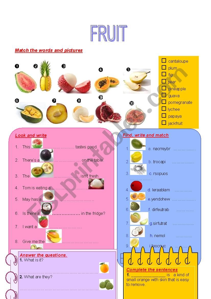 Fruit worksheet