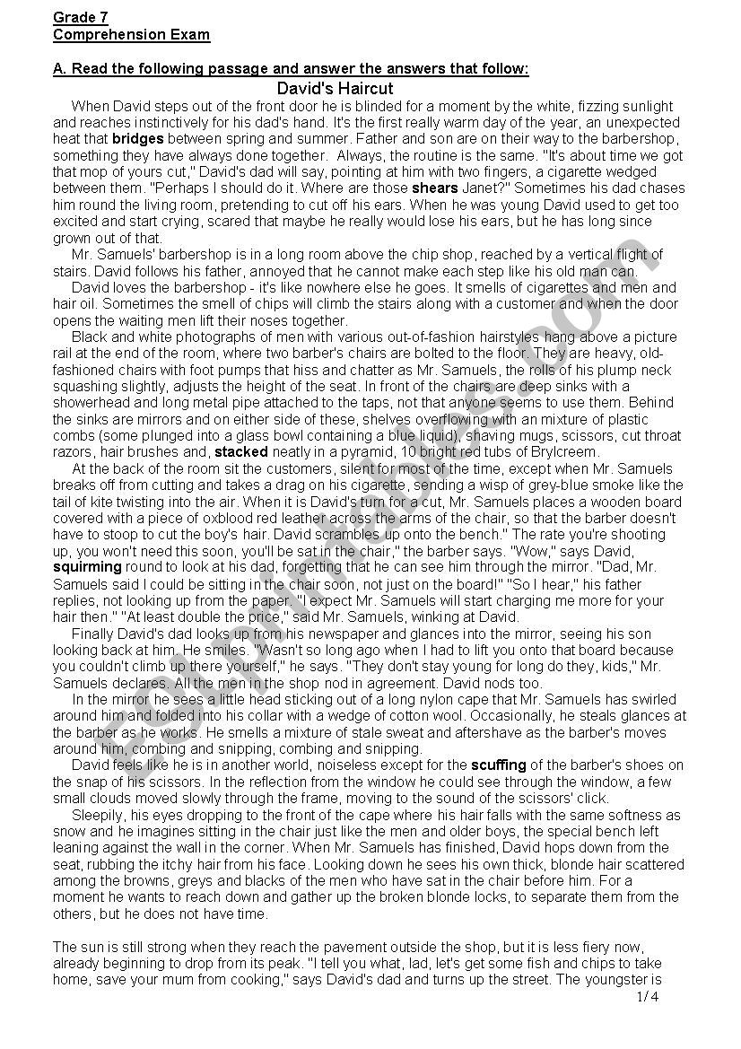 David S Haircut Esl Worksheet By Reemsancil