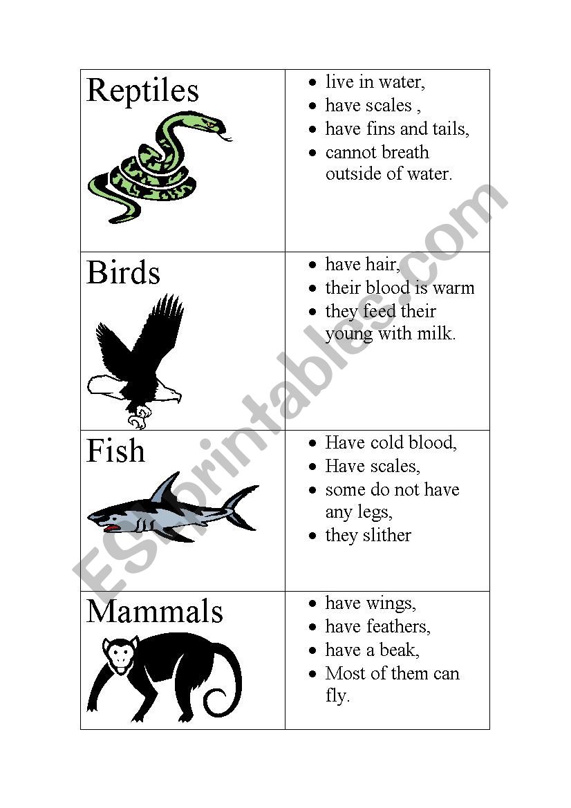 Animal class Table  worksheet